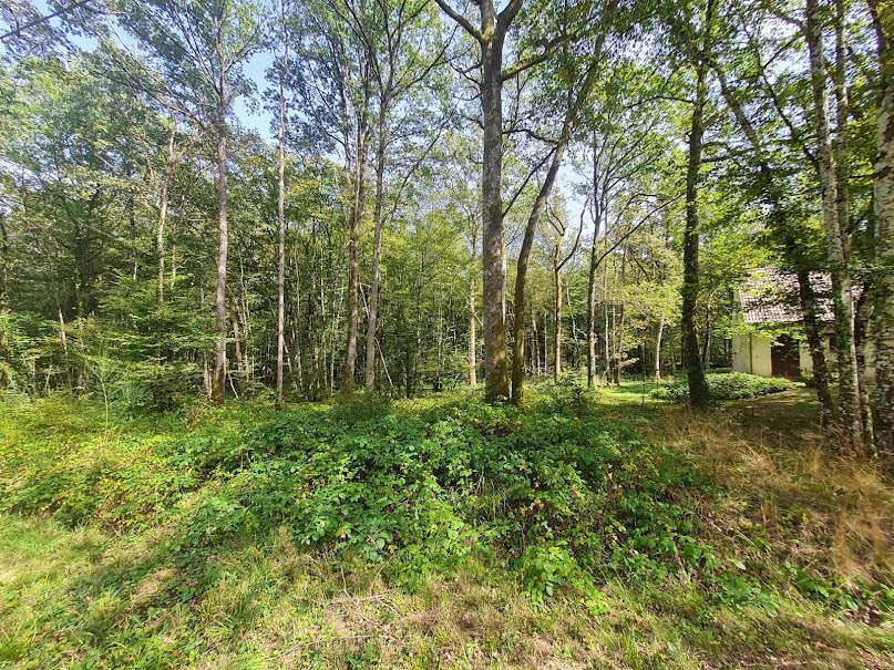 Vente terrain  1403 m² à Saint-Fargeau (89170), 14 900 €