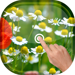 Magic Touch - Gentle Flowers  Icon