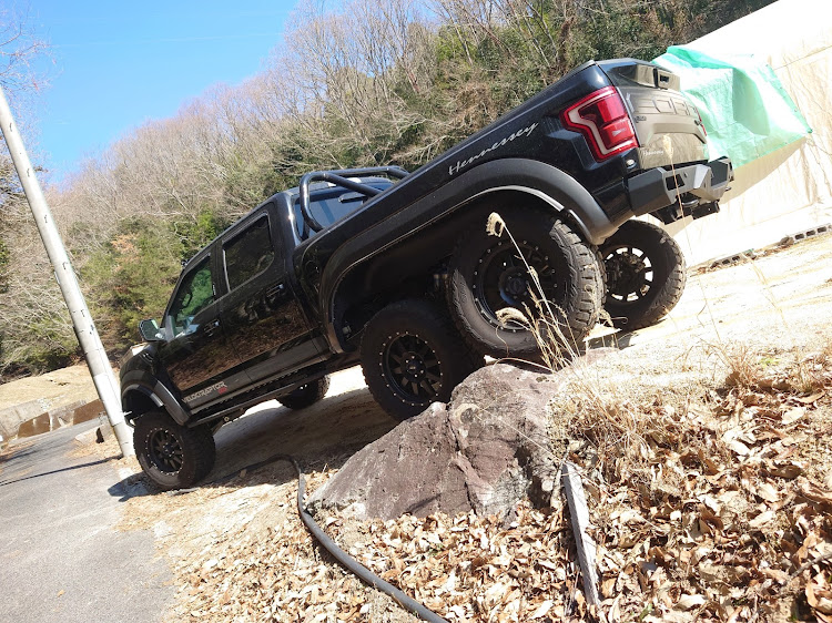 F-150の毒蛇さんが投稿したカスタム事例の投稿画像1枚目