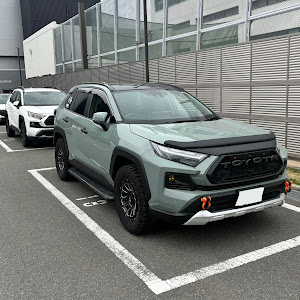 RAV4 AXAH54