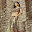 Designer Saree Gallery Download on Windows