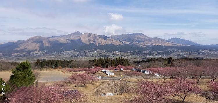 コペンの地震災害に遭われた方々にお見舞い申し上げます・南阿蘇アスペクタ・河津桜・草千里に関するカスタム事例の投稿画像3枚目