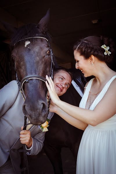 結婚式の写真家Evgeniya Ushakova (confoto)。2014 7月29日の写真