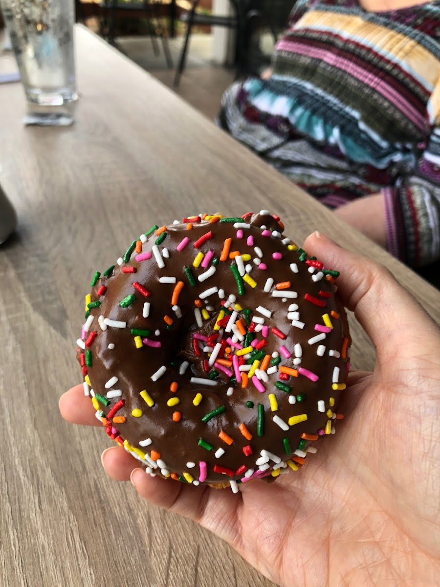 Chocolate iced cake donut with sprinkles!