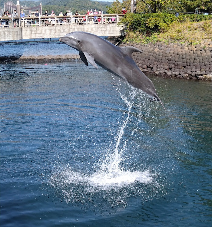 の投稿画像4枚目