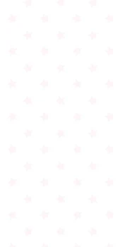 ぱいなっぷる