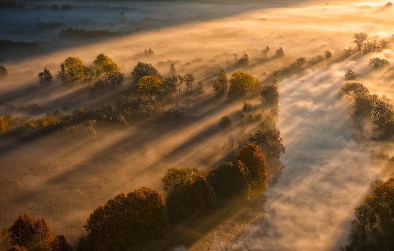 alba dorata di massimo zanotti