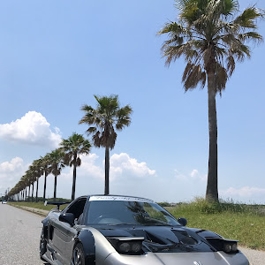 NSX