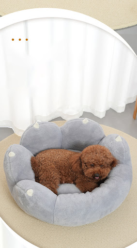 Title 6, Cats Paw Nest, Dogs Nest, Warm Winter Pet Bed...