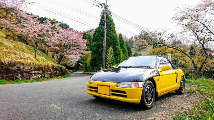 ビートの桜とコラボ・変態ツーリング・南阿蘇・熊本・オススメスポットに関するカスタム事例の投稿画像4枚目