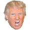 Item logo image for Trumpspeak by Justin Hook