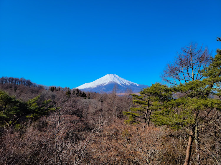 の投稿画像2枚目