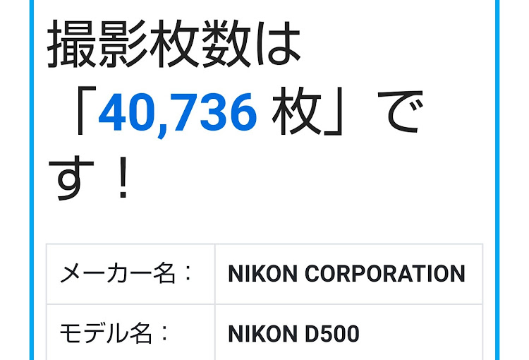 フィットのNIKKOR 200‐500㎜ f5.6・野鳥撮影・下手な鉄砲も数撃ちゃ当たる？・望遠レンズの世界・夕日に関するカスタム事例の投稿画像33枚目