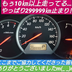 ウィッシュ ZNE10G