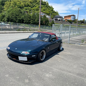 ロードスター NA8C