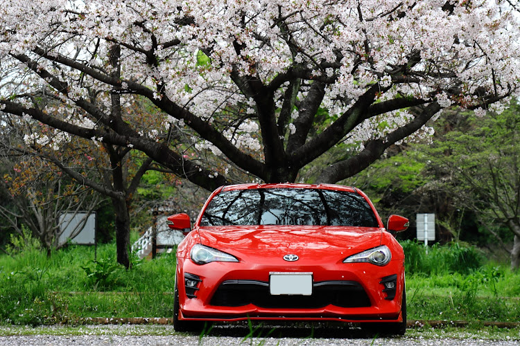 86の桜とコラボ・kuhl・4月もよろしくお願い致します🌸・サクラと愛車に関するカスタム事例の投稿画像2枚目