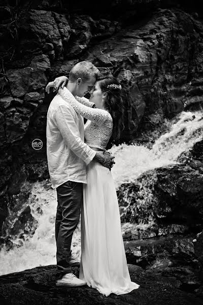 Photographe de mariage Sarah Beebe (sarahbeebe). Photo du 24 avril 2019