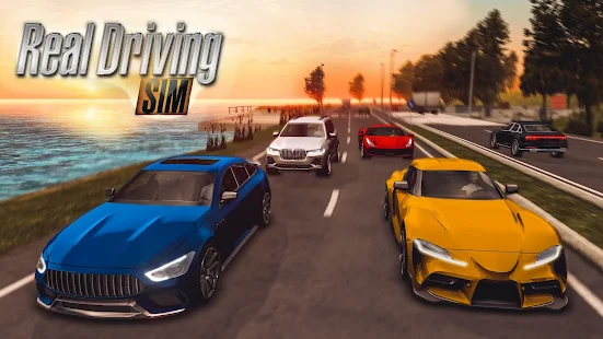 Real Driving Sim Apk Mod