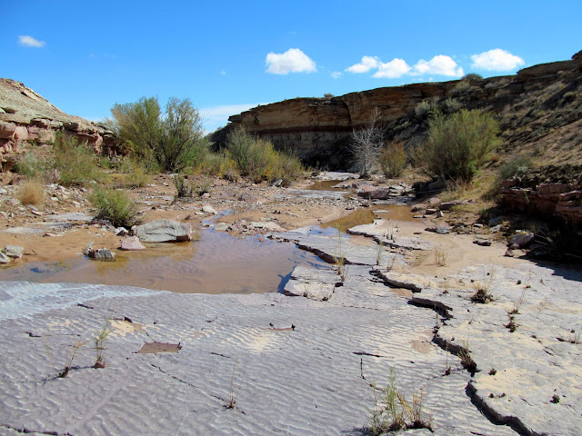 Ripple marks in the sandstone