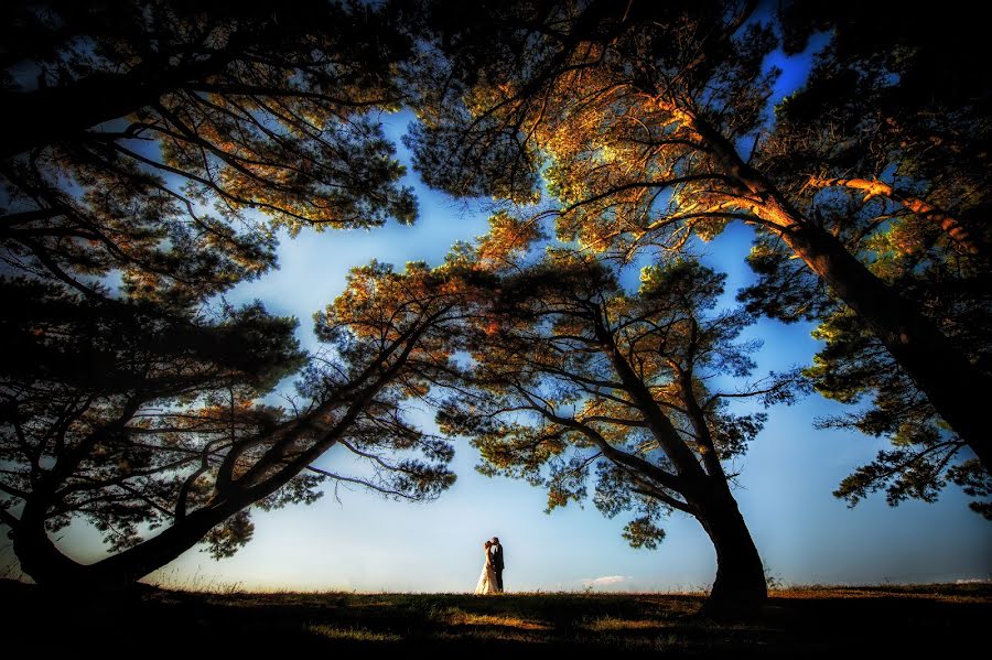 Fotografo di matrimoni Yann Faucher (yannfaucher). Foto del 19 agosto 2015