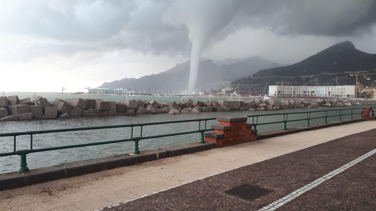 Cono marino di kasparo