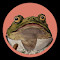 Item logo image for Social Toad