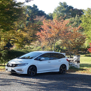 ジェイド FR5