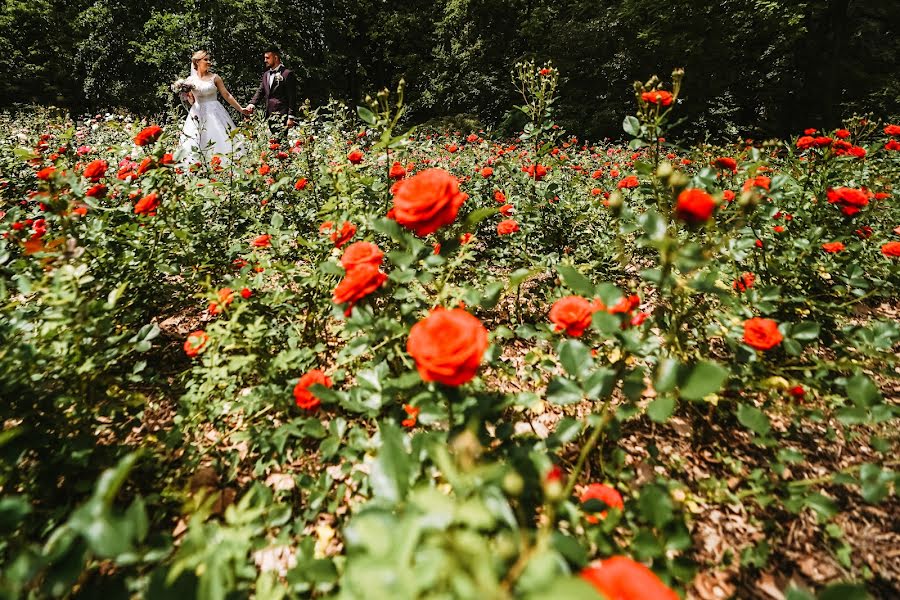 Fotografo di matrimoni Claudiu Boghina (claudiuboghina). Foto del 7 giugno 2022