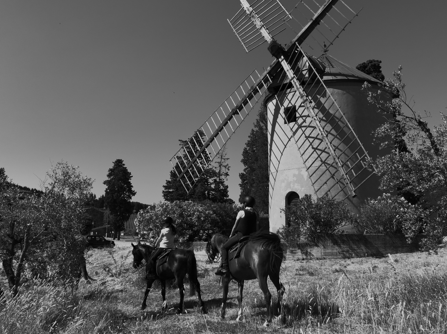 Passeggiata a cavallo di Bat21