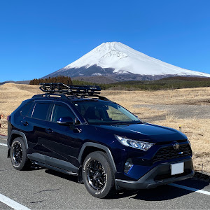 RAV4 MXAA52