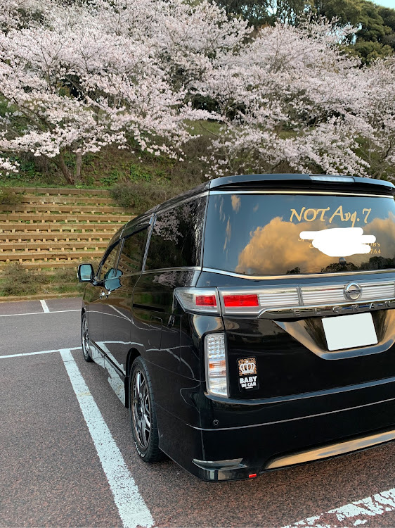 エルグランドのドライブ・桜コラボに関するカスタム事例の投稿画像1枚目