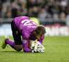 Rodgers weigert Mignolet de schuld te geven: "Veld was hobbelig"