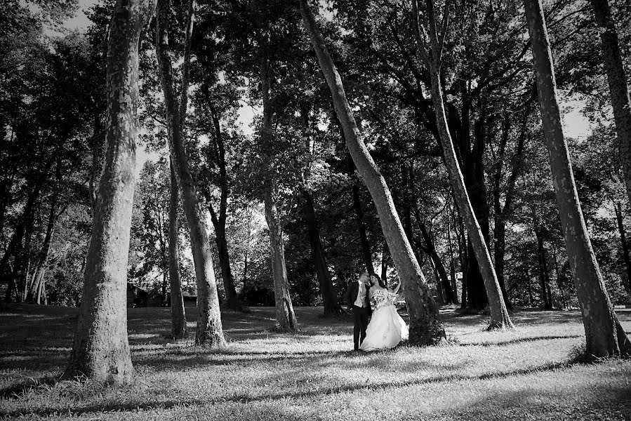 Wedding photographer Pietro Gambera (pietrogambera). Photo of 20 June 2016