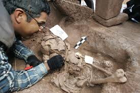 Image result for archaeologist