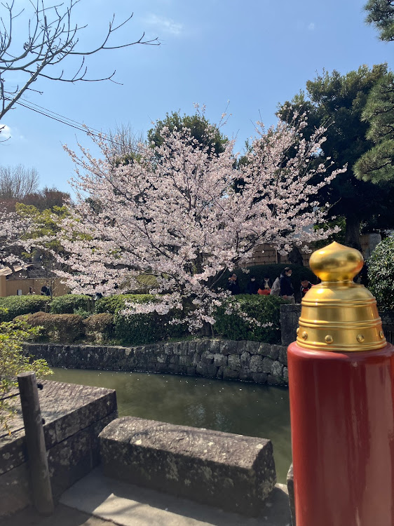 RXの桜シーズン開幕・モデリスタ・レクサスRXに関するカスタム事例の投稿画像2枚目