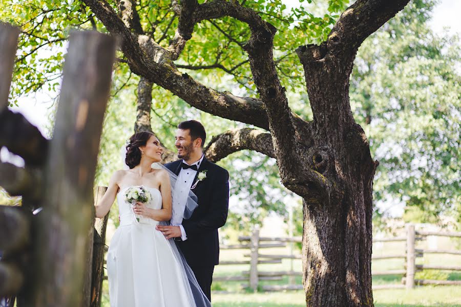 Fotografo di matrimoni Evgeniy Krivoshein (krikri). Foto del 25 agosto 2015