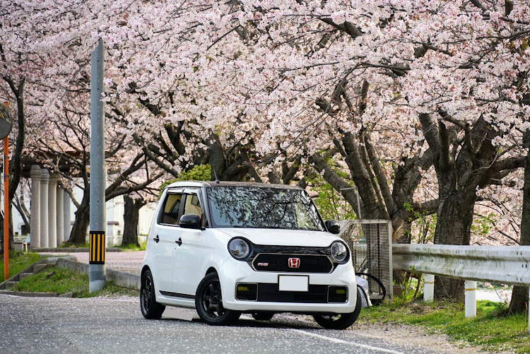 N-ONEのサクラと愛車に関するカスタム事例の投稿画像4枚目