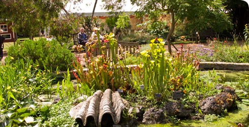 Photo Musée d'Histoire Naturelle