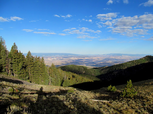 View down Bull Creek from the pass