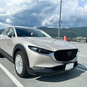 CX-30