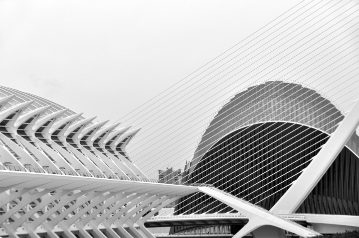 Puente de Calatrava di ciubecca