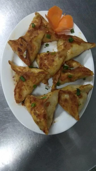 Veg Pan Fried Momo