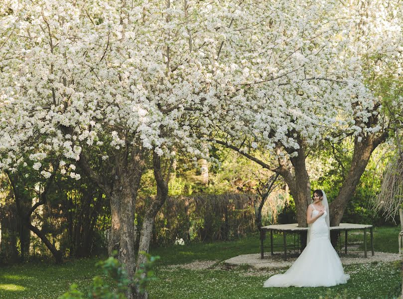 Wedding photographer Tan Karakoç (ilkay). Photo of 2 August 2017