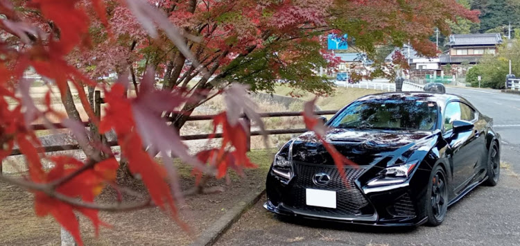 RC Fの紅葉・ドライブ・ranaスプリングに関するカスタム事例の投稿画像1枚目