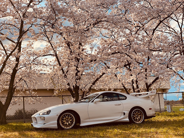 スープラの霞埠頭・桜と愛車・ドライブ・コロナウイルスに負けるな・桜に関するカスタム事例の投稿画像3枚目