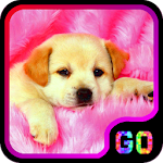 Puppies Live Wallpaper Apk