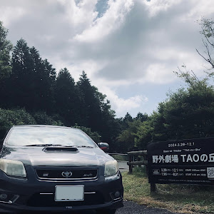 カローラアクシオ NZE141