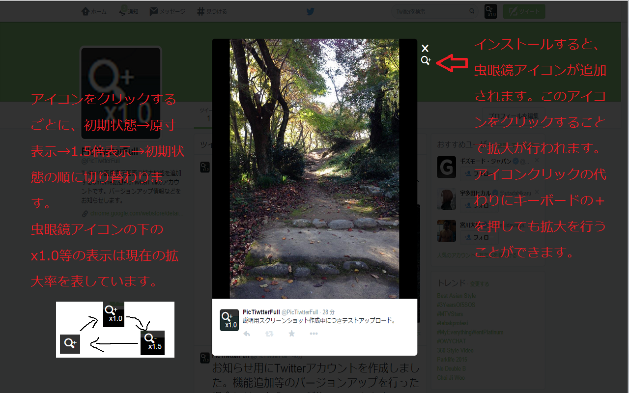 PicTwitterFull Preview image 0