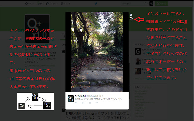 PicTwitterFull chrome extension