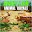 Angry Lion Animal simulator Battle Download on Windows